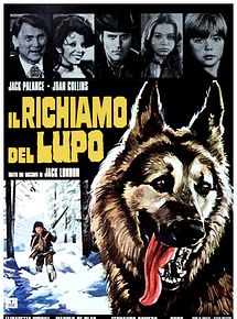 Affiche de Il Richiamo del lupo, film à voir en streaming sur Pygargue