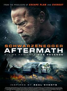 Affiche de Aftermath, film à voir en streaming sur Pygargue