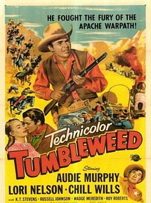 Affiche de Qui est le traître?, film à voir en streaming sur Pygargue