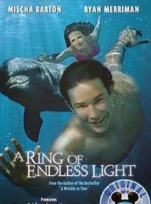 Affiche de Des Vacances inoubliables, film à voir en streaming sur Pygargue