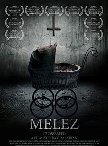 Affiche de The Crossbreed, film à voir en streaming sur Pygargue