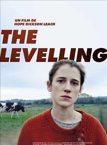 Affiche de The Levelling, film à voir en streaming sur Pygargue