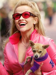 Affiche de Legally Blonde 3, film à voir en streaming sur Pygargue