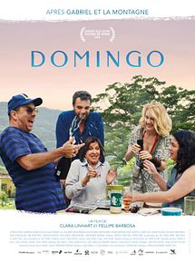 Affiche de Domingo, film à voir en streaming sur Pygargue