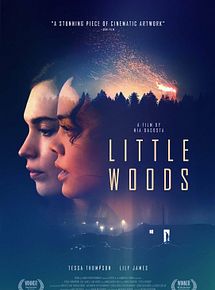 Affiche de Little Woods, film à voir en streaming sur Pygargue