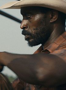 Affiche de Bull, film à voir en streaming sur Pygargue