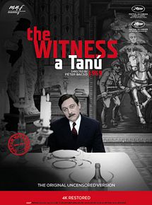 Affiche de Le Témoin, film à voir en streaming sur Pygargue