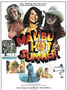 Affiche de Malibu Hot Summer, film à voir en streaming sur Pygargue