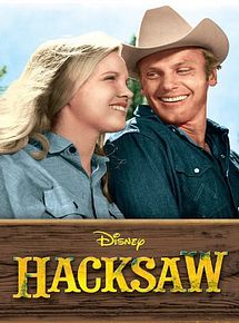 Affiche de Hacksaw, film à voir en streaming sur Pygargue
