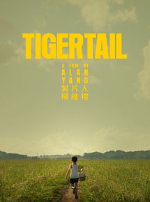 Affiche de Tigertail, film à voir en streaming sur Pygargue