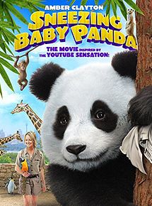 Affiche de Baby Panda, film à voir en streaming sur Pygargue