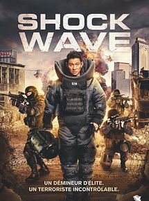 Affiche de Chak daan juen ga, film à voir en streaming sur Pygargue