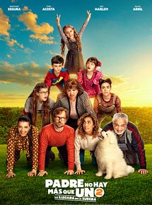 Affiche de Padre no hay más que uno 2: La llegada de la suegra, film à voir en streaming sur Pygargue