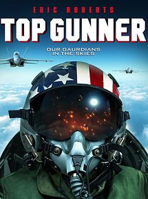 Affiche de Top Gunner, film à voir en streaming sur Pygargue