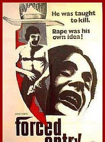Affiche de Forced Entry, film à voir en streaming sur Pygargue