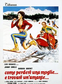Affiche de Comment perdre sa femme et trouver une maîtresse, film à voir en streaming sur Pygargue