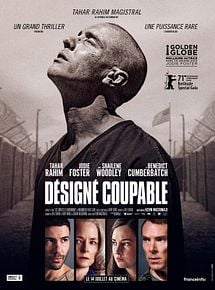 Affiche de Désigné Coupable, film à voir en streaming sur Pygargue
