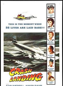 Affiche de Crash Landing, film à voir en streaming sur Pygargue