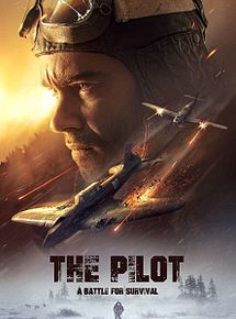 Affiche de The Pilot: A Battle for Survival, film à voir en streaming sur Pygargue