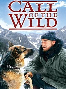 Affiche de L'Appel de la forêt, film à voir en streaming sur Pygargue