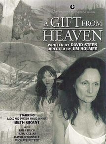 Affiche de Un cadeau du ciel, film à voir en streaming sur Pygargue