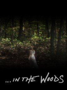 Affiche de In the Woods, film à voir en streaming sur Pygargue