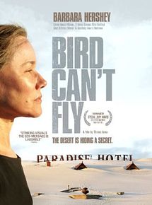 Affiche de The Bird Can't Fly, film à voir en streaming sur Pygargue