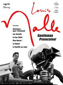 Affiche de Le Voleur, film à voir en streaming sur Pygargue