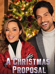 Affiche de Une proposition de rêve pour Noël, film à voir en streaming sur Pygargue