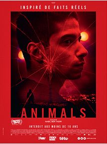 Affiche de Animals, film à voir en streaming sur Pygargue