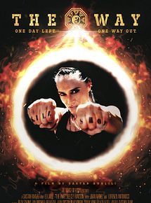Affiche de The Way, film à voir en streaming sur Pygargue