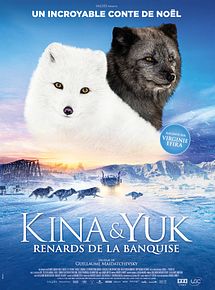 Affiche de Kina & Yuk : renards de la banquise, film à voir en streaming sur Pygargue
