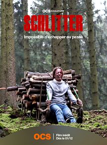 Affiche de Schlitter, film à voir en streaming sur Pygargue