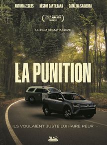 Affiche de La Punition, film à voir en streaming sur Pygargue