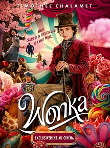 Affiche de Wonka, film à voir en streaming sur Pygargue