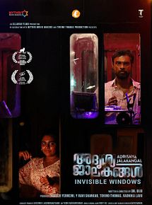 Affiche de Invisible Windows, film à voir en streaming sur Pygargue