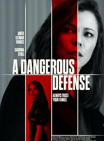 Affiche de La famille du secret, film à voir en streaming sur Pygargue