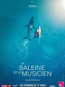image de La Baleine et le musicien Bande-annonce VF