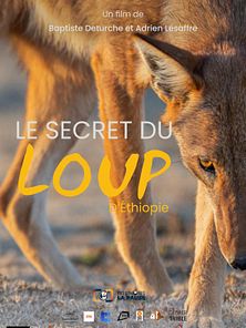 image de Le secret du Loup d’Éthiopie Bande-annonce VF