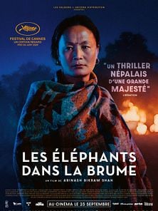 image de Les Elephants dans la brume Bande-annonce VO STFR