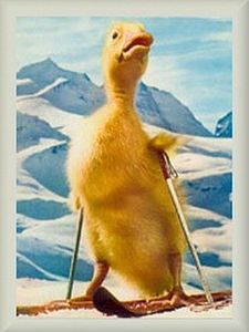 poster de la série Les Aventures de Saturnin Saison 1