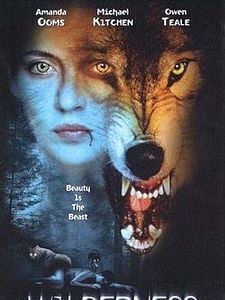 poster de la série Entre femme et loup Saison 1