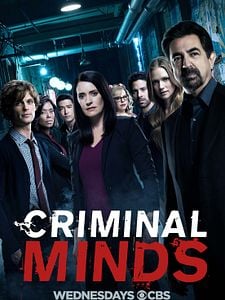 poster de la série Esprits criminels Saison 13