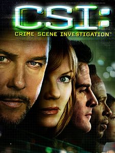 poster de la série Les Experts Saison 6