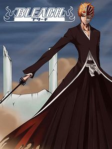 poster de la série Bleach Saison 5