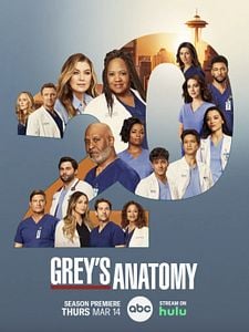poster de la série Grey's Anatomy Saison 20