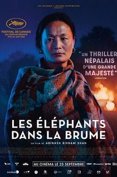 Les Éléphants dans la brume