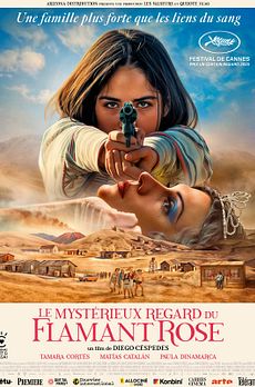 Le Mystérieux regard du flamant rose