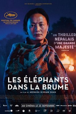 Les Éléphants dans la brume