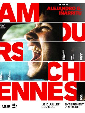 poster de Amours chiennes